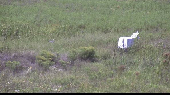 capture-5-23-08-16_13-58-50-93