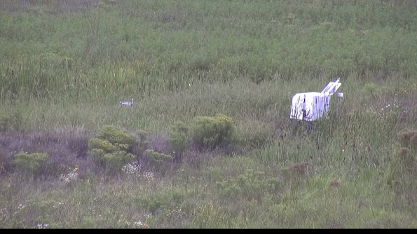 capture-5-23-08-16_14-08-51-26