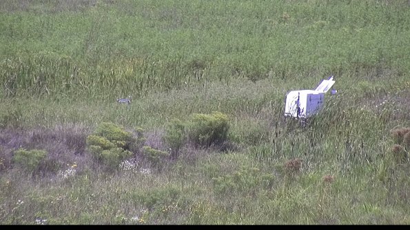 capture-5-23-08-16_14-14-50-72