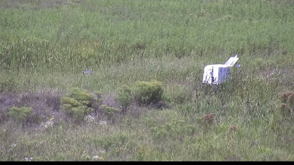 capture-5-23-08-16_14-18-50-59