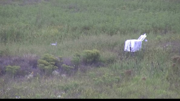 capture-5-23-08-16_14-32-49-47