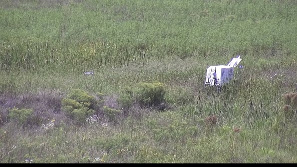 capture-5-23-08-16_14-44-50-13