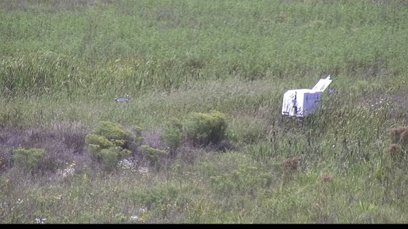 capture-5-23-08-16_14-48-50-27