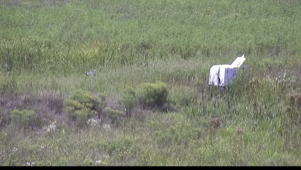 capture-5-23-08-16_14-54-49-82