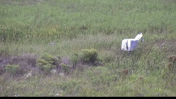 capture-5-23-08-16_15-12-50-20