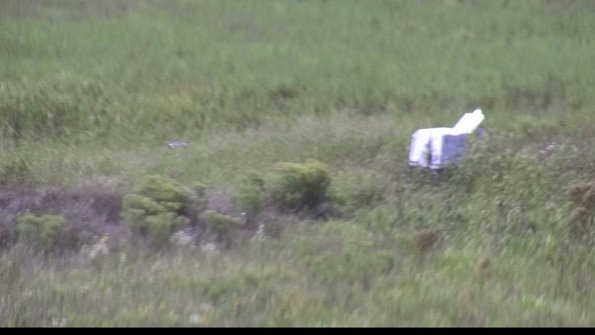 capture-5-23-08-16_15-18-49-66