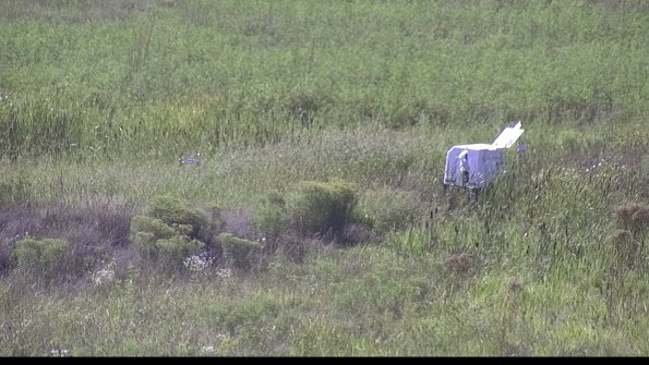 capture-5-23-08-16_16-38-49-89