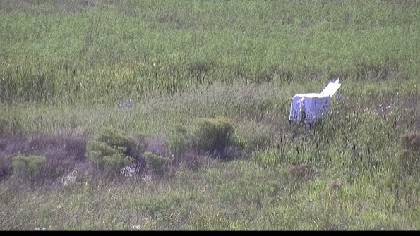 capture-5-23-08-16_16-40-51-01