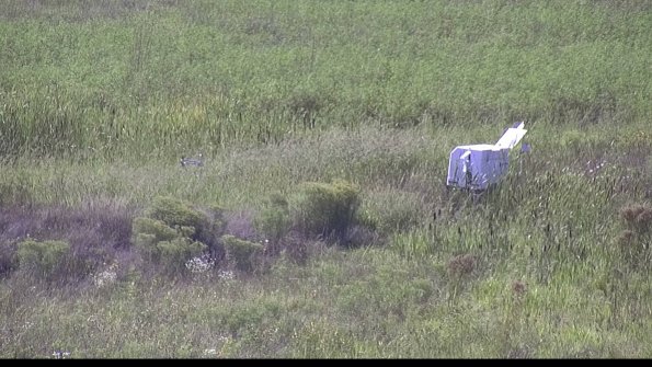 capture-5-23-08-16_16-42-50-73