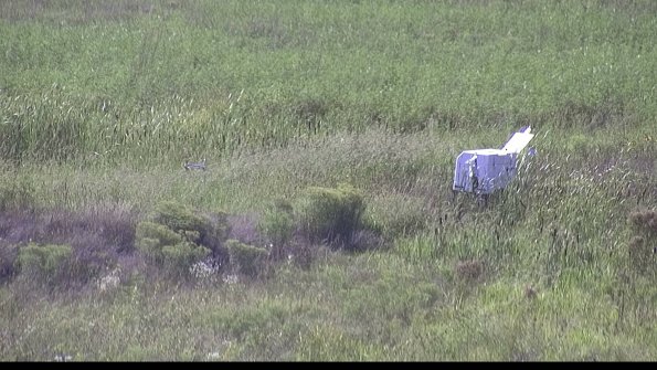 capture-5-23-08-16_16-44-49-65