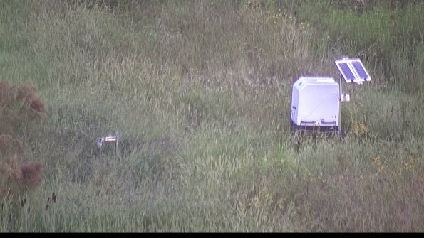 capture-6-23-08-16_07-05-03-90