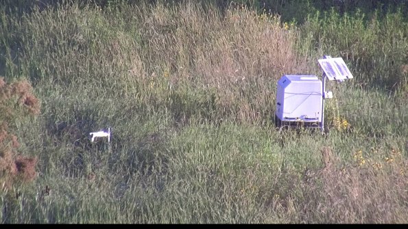 capture-6-23-08-16_07-59-03-89