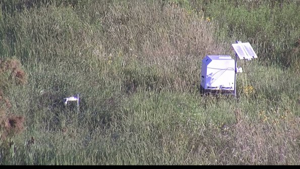 capture-6-23-08-16_08-29-05-24