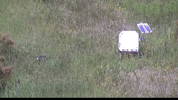 capture-6-23-08-16_13-53-04-95