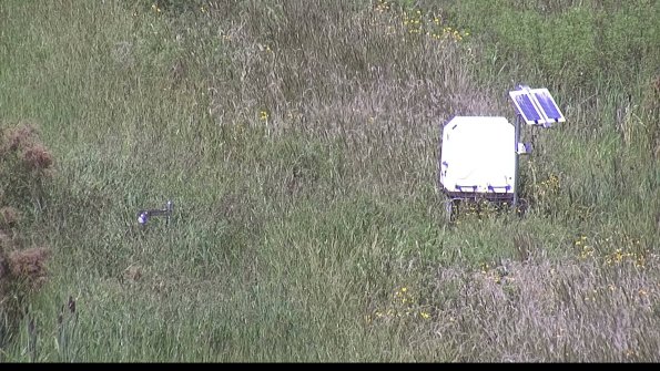 capture-6-23-08-16_14-13-05-28