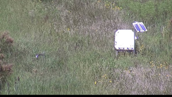 capture-6-23-08-16_14-15-04-93