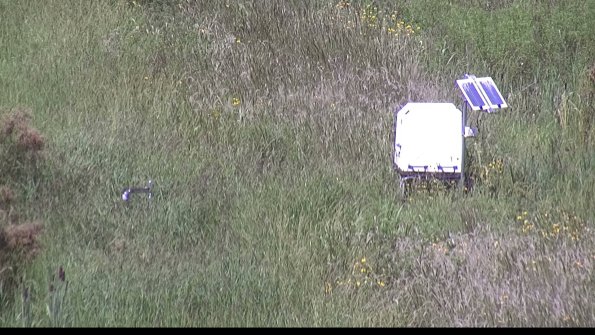 capture-6-23-08-16_14-19-04-37