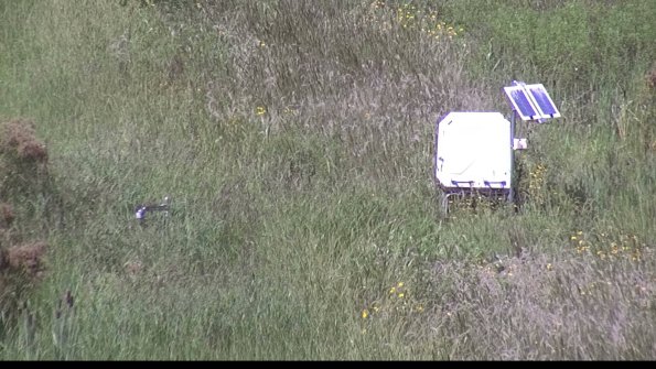 capture-6-23-08-16_14-37-04-66