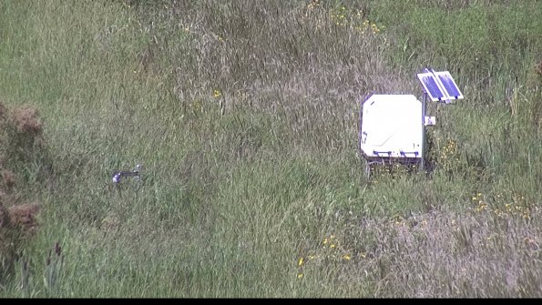 capture-6-23-08-16_14-39-04-38