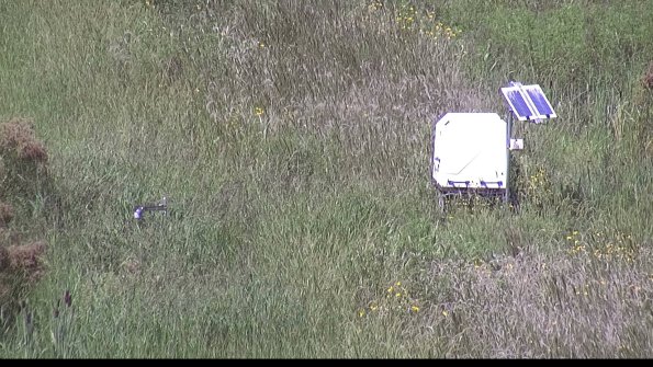 capture-6-23-08-16_14-41-04-87