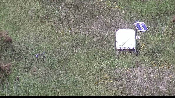 capture-6-23-08-16_15-07-05-32