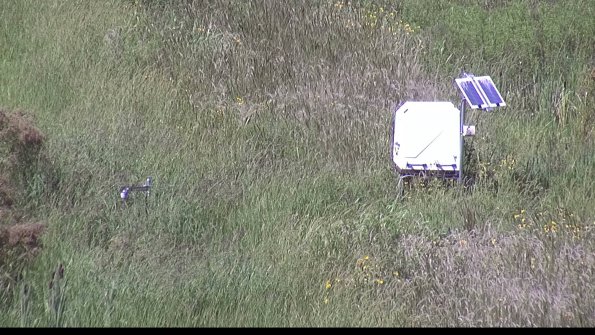 capture-6-23-08-16_15-09-04-98