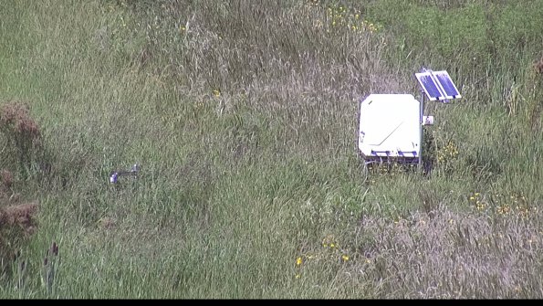 capture-6-23-08-16_15-11-04-80