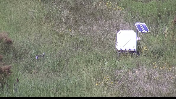 capture-6-23-08-16_15-15-04-60