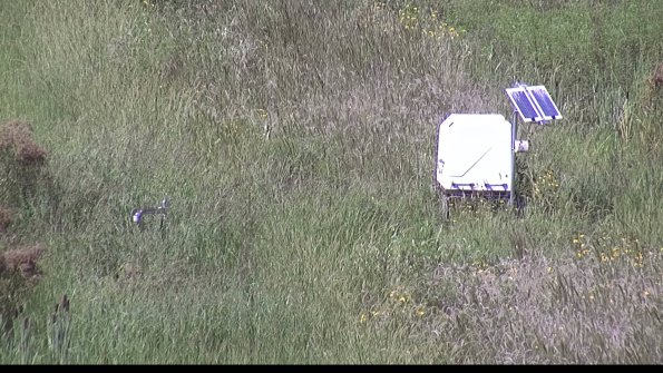 capture-6-23-08-16_15-17-05-16