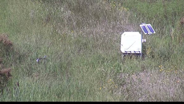 capture-6-23-08-16_15-27-04-40