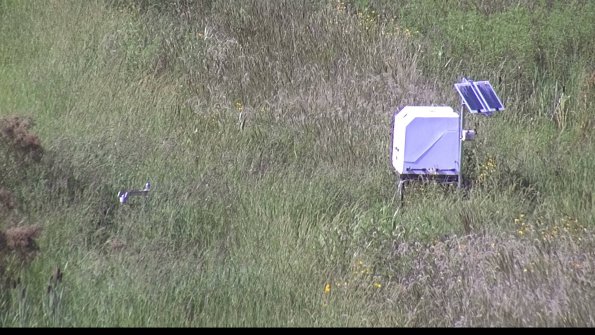 capture-6-23-08-16_16-35-04-43