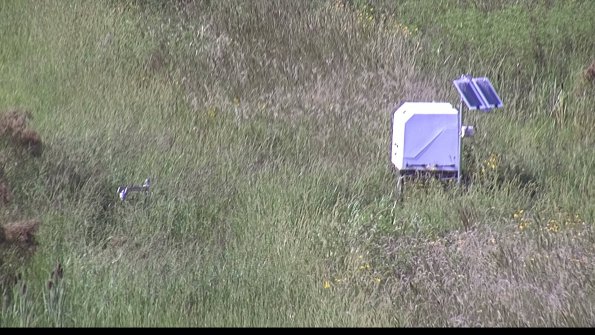 capture-6-23-08-16_16-41-05-06