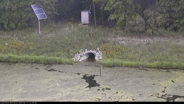 Basin Inflow_23-08-17_12-36-06-88