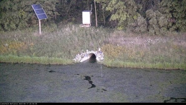 Basin Inflow_23-08-17_20-58-36-89