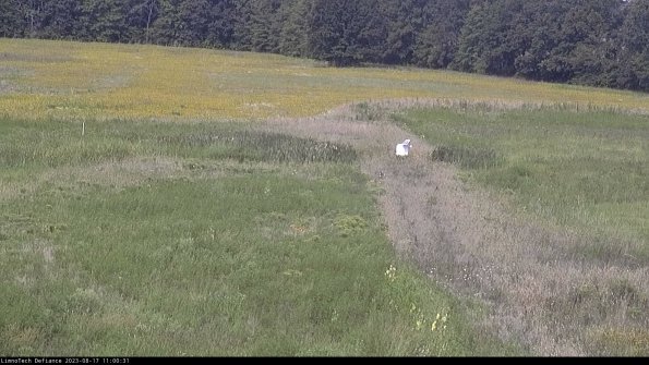 Cell 1 to 2_23-08-17_11-00-32-02