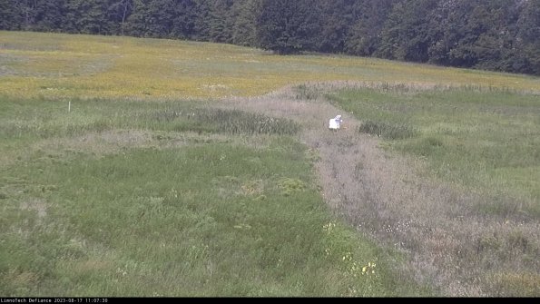 Cell 1 to 2_23-08-17_11-07-30-91