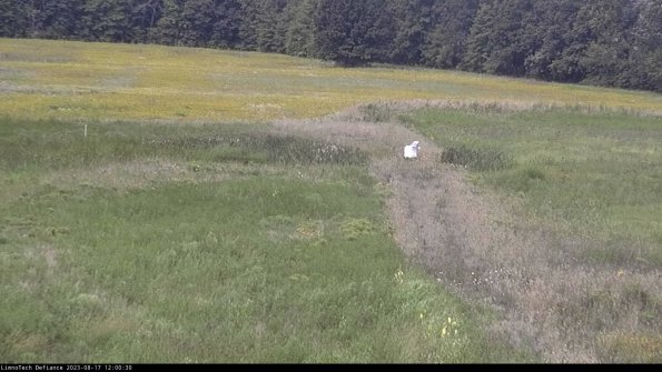 Cell 1 to 2_23-08-17_12-00-30-87