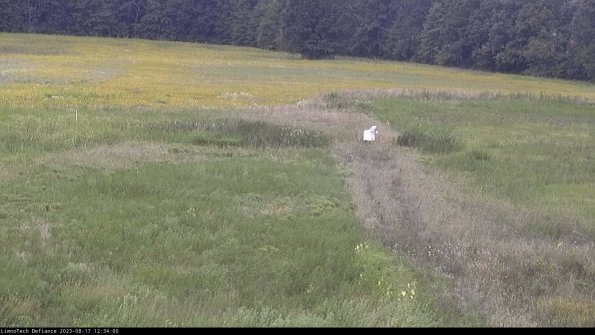 Cell 1 to 2_23-08-17_12-34-00-86