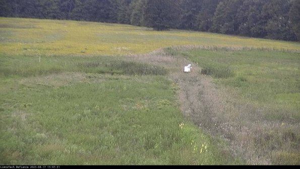 Cell 1 to 2_23-08-17_13-07-31-85