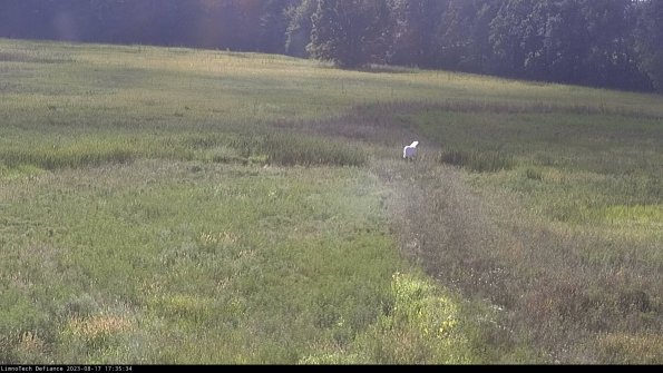 Cell 1 to 2_23-08-17_17-35-34-88