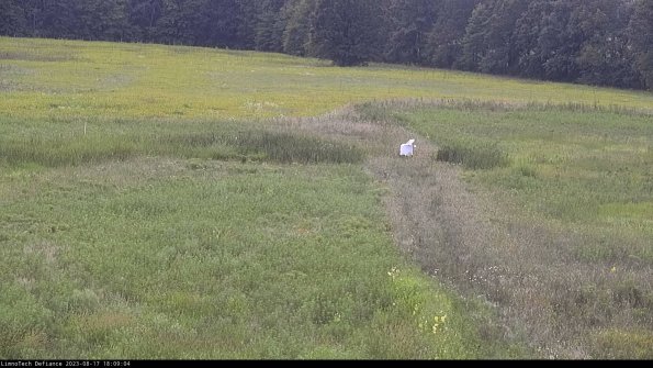 Cell 1 to 2_23-08-17_18-09-04-90