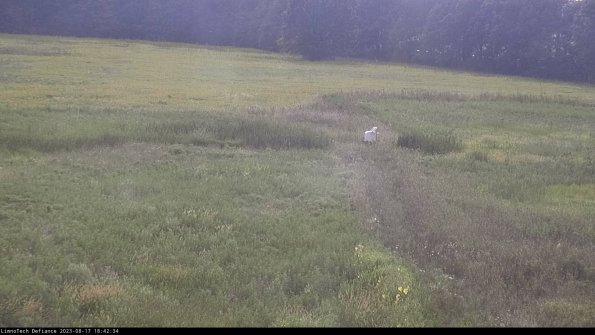 Cell 1 to 2_23-08-17_18-42-34-85