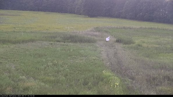 Cell 1 to 2_23-08-17_19-16-02-87