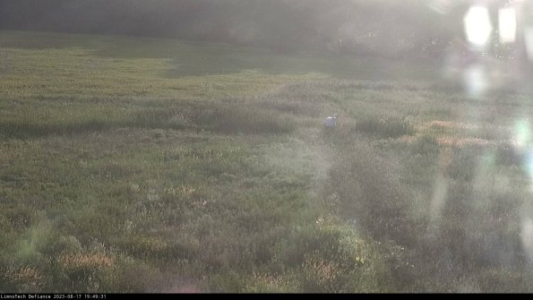 Cell 1 to 2_23-08-17_19-49-31-89