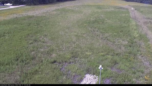 Cell 123-08-17_10-49-26-91