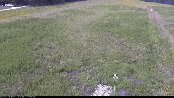 Cell 1_23-08-17_10-50-29-64