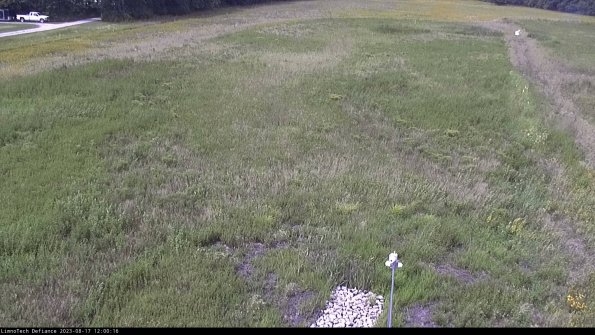 Cell 1_23-08-17_12-00-16-86