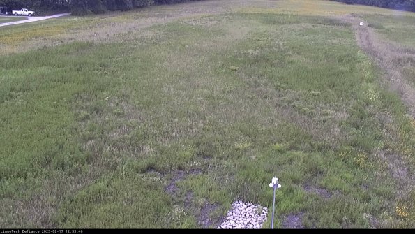 Cell 1_23-08-17_12-33-46-88