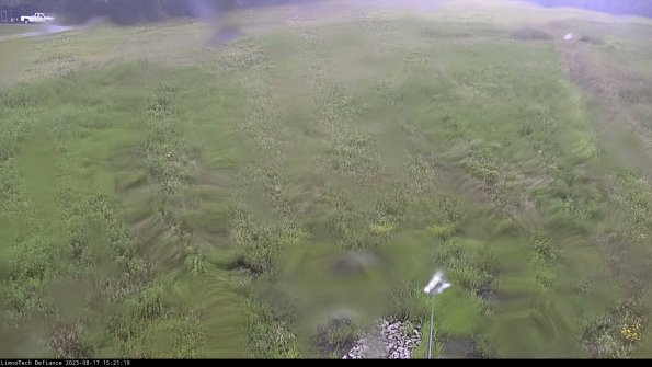 Cell 1_23-08-17_15-21-19-88