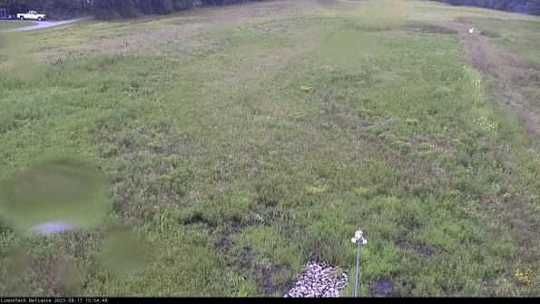 Cell 1_23-08-17_15-54-48-87